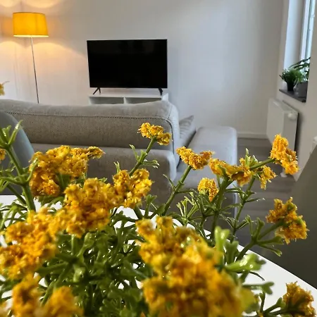 Der Schwan, Innenstadt, 2022 Renoviert