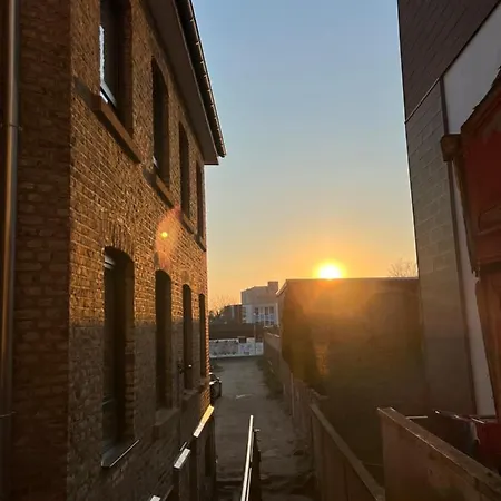 Der Schwan, Innenstadt, 2022 Renoviert * Düren - Eifel