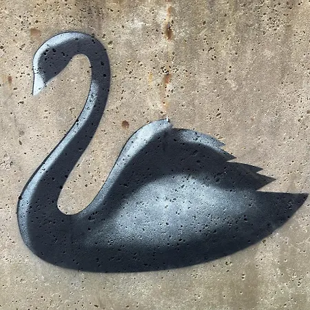 Der Schwan, Innenstadt, 2022 Renoviert 公寓