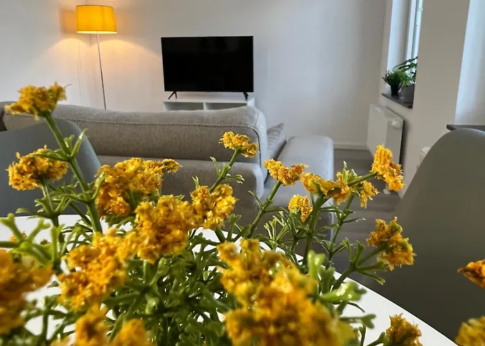 Der Schwan, Innenstadt, 2022 Renoviert