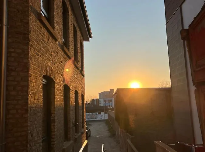 Der Schwan, Innenstadt, 2022 Renoviert * Düren - Eifel