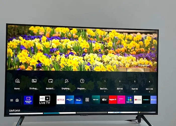 Der Schwan, Innenstadt, 2022 Renoviert Düren - Eifel