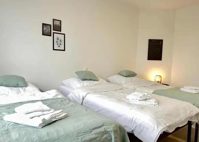 Der Schwan, Innenstadt, 2022 Renoviert Appartement *